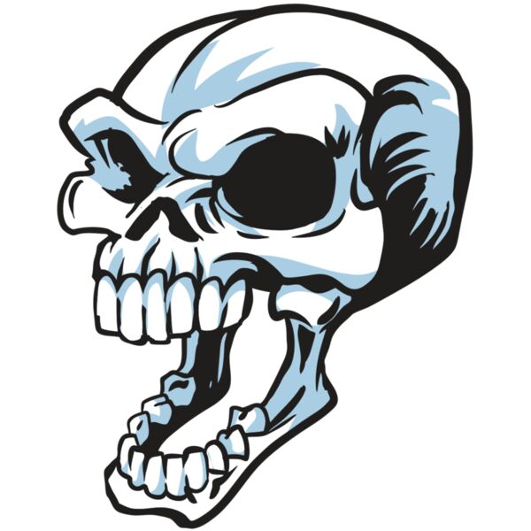 AR24 SKULL 15 RQC Thumbnail